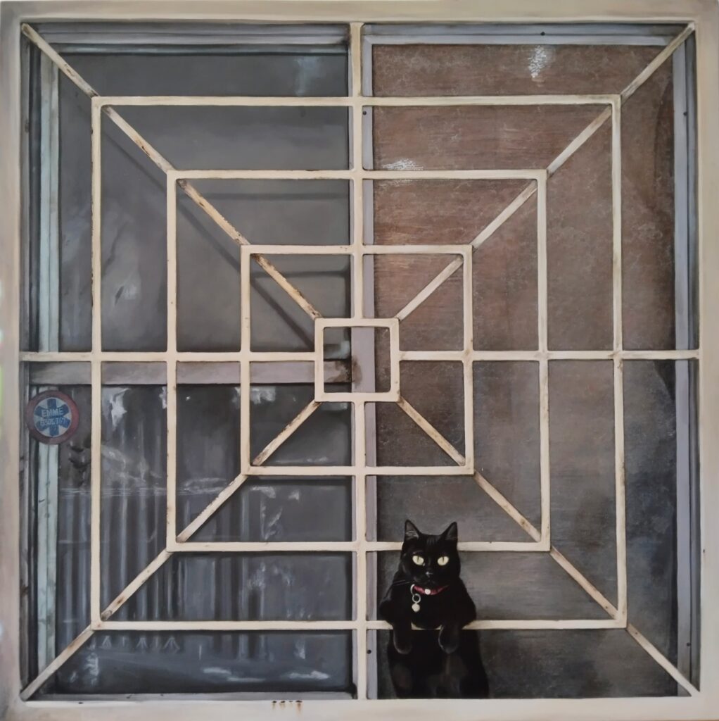 GATO MTY 1